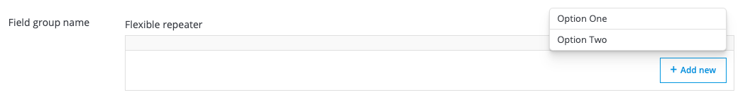 aperçu du champ flexible-repeater